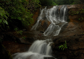 Vaidehi Waterfalls