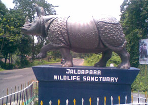 Jaldapara Wildlife Sanctuary