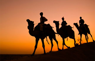 Best Travel Destinations in Rajasthan